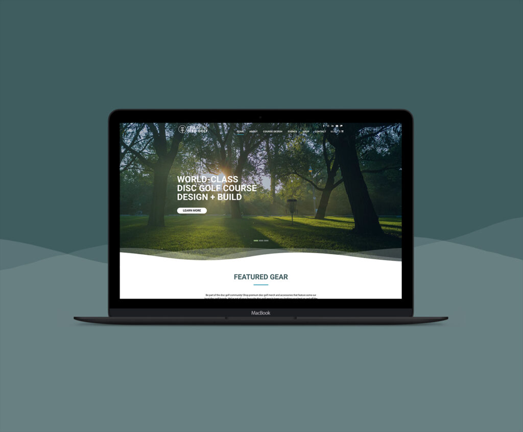 Chain Link Disc Golf Ecommerce Website