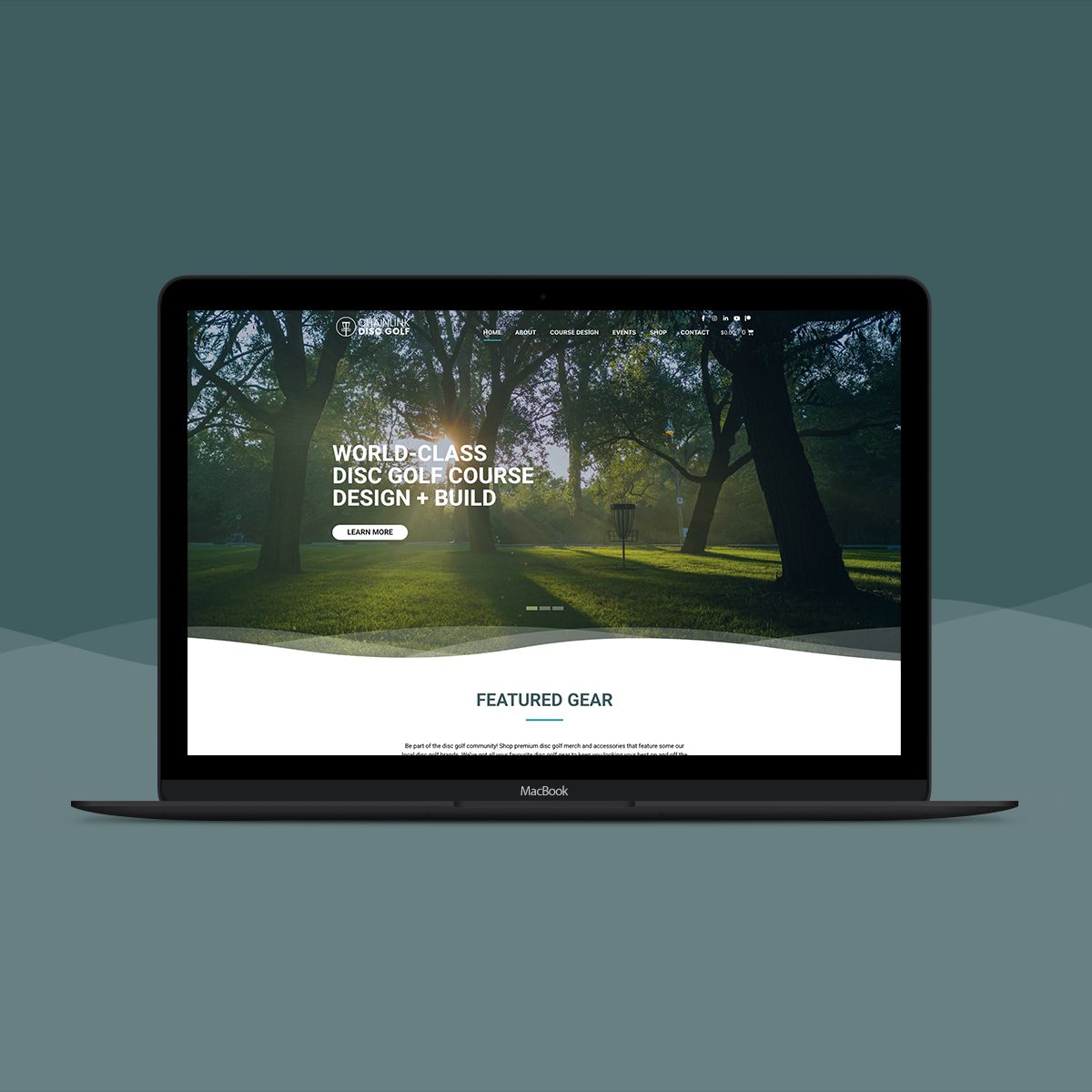 Chain Link Disc Golf Ecommerce Website